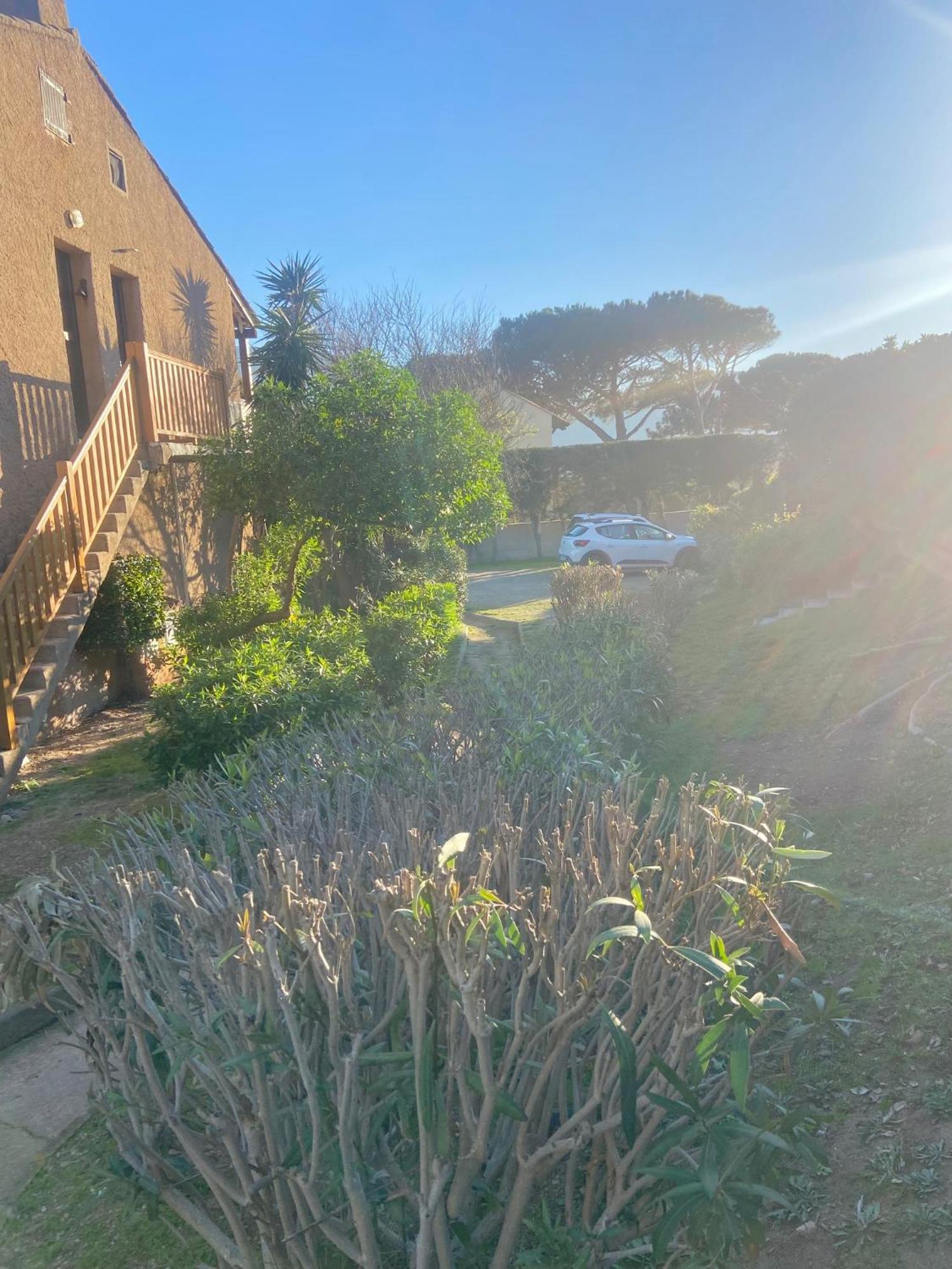 Tres Bel Appartement Les Pieds Dans L'Eau Appietto Exterior foto